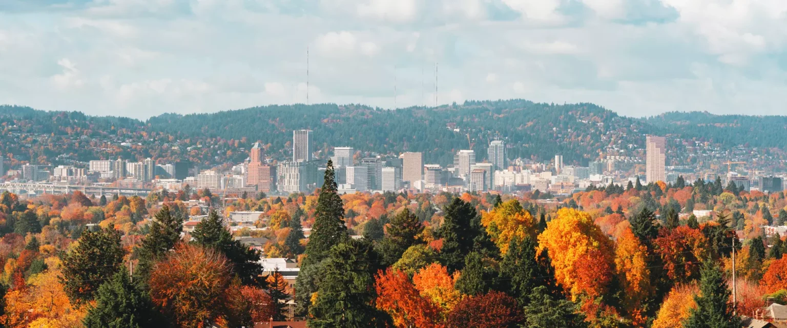 View of the city in the mountains