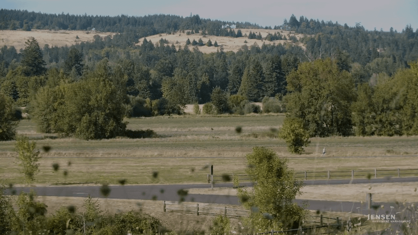 Video still of landscape