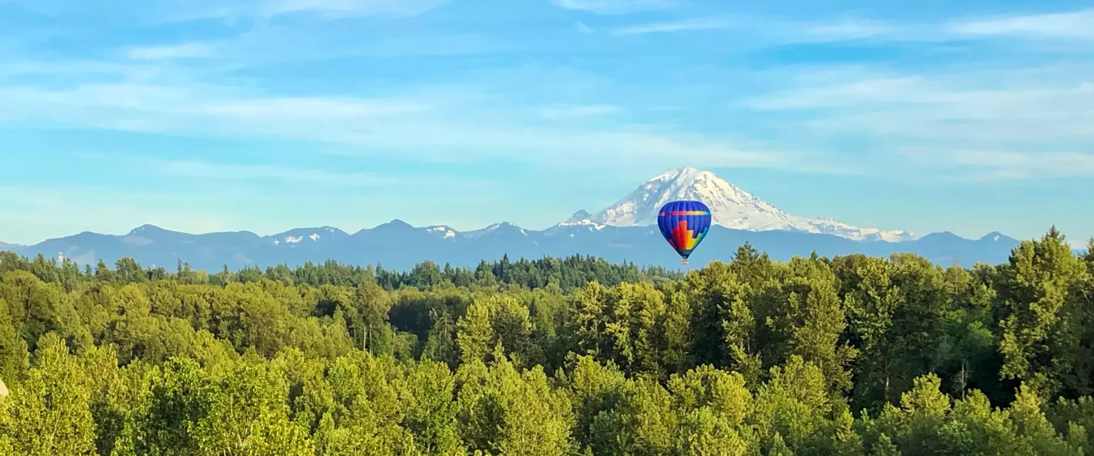 View of an air balloon hovering over the forest