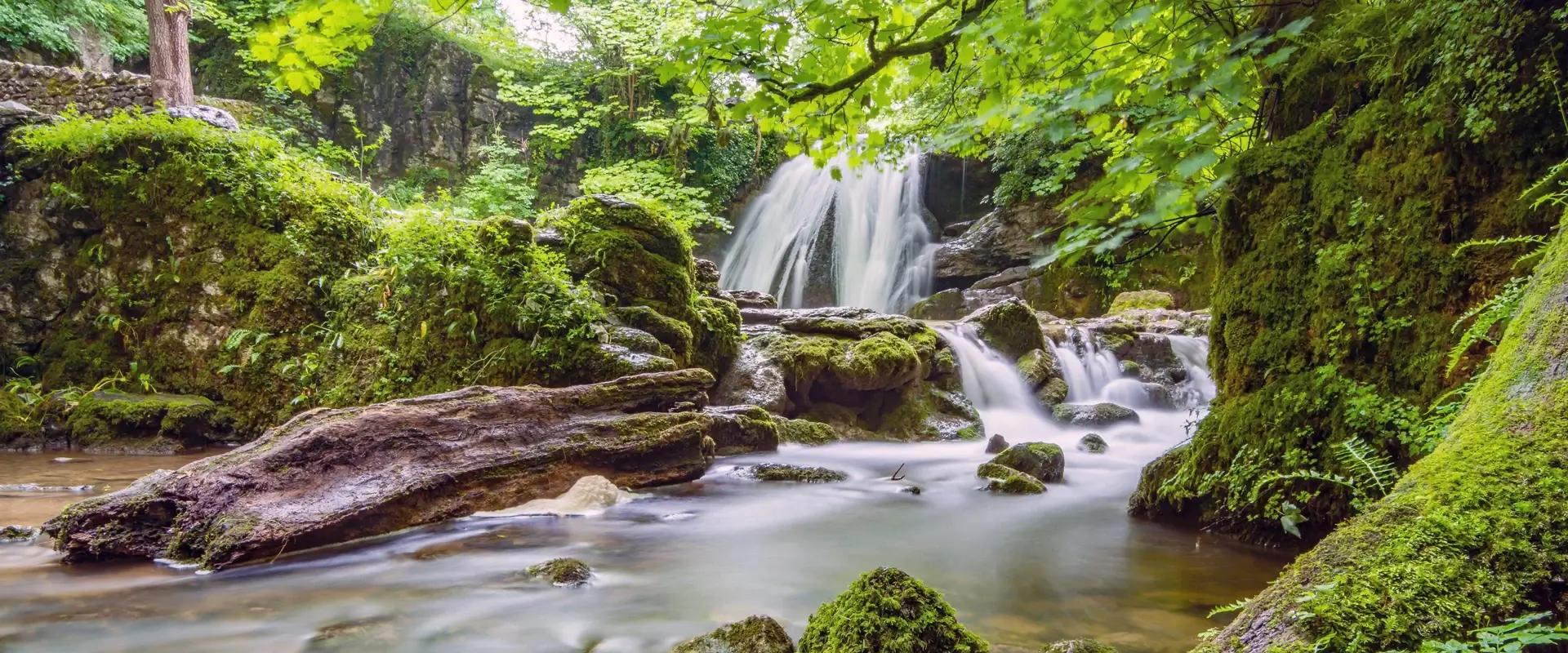 Waterfall with greenery surroundings