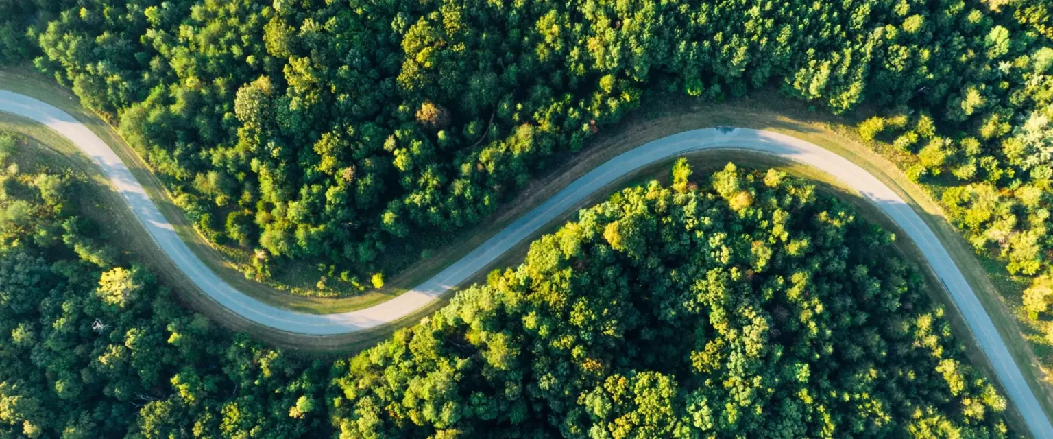 Aerial shot of a road in the forest
