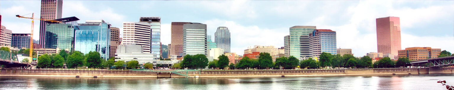 View of the city from the water