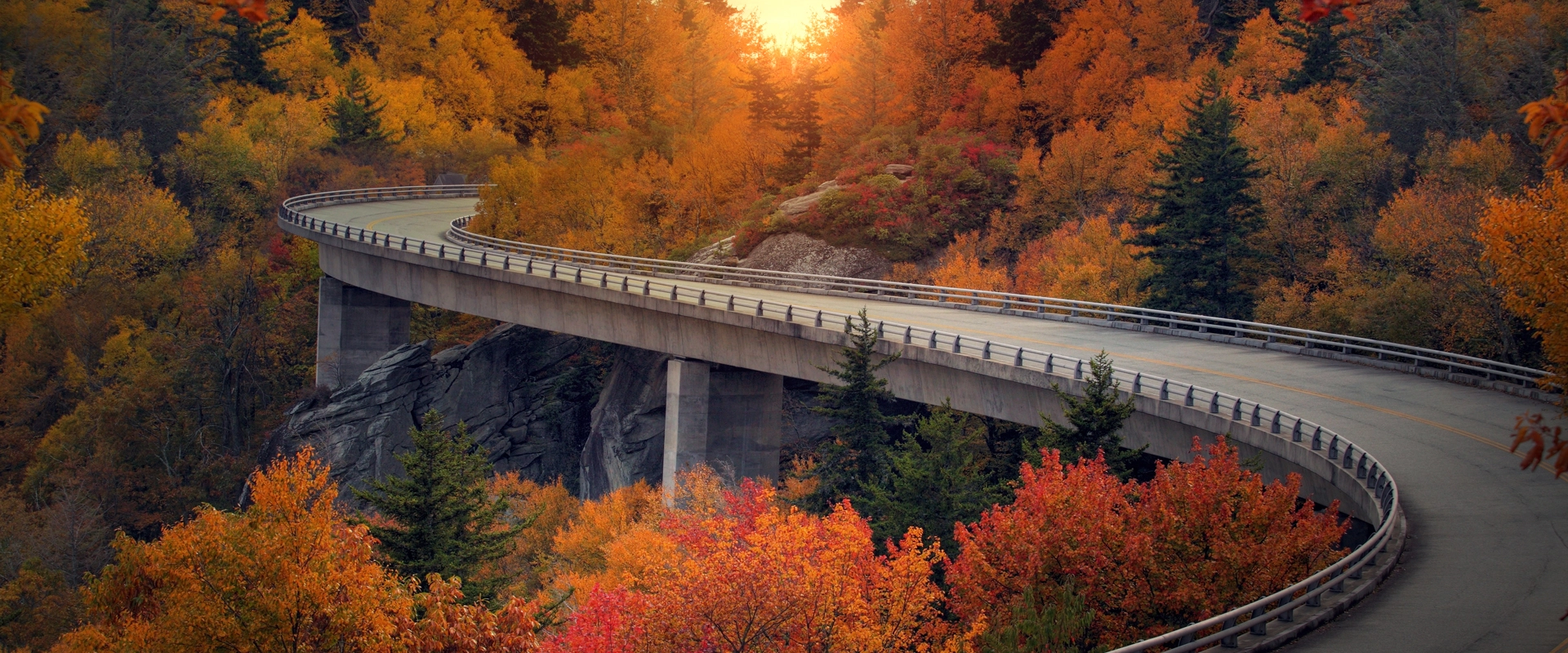 A bridge leading through the autumn forest