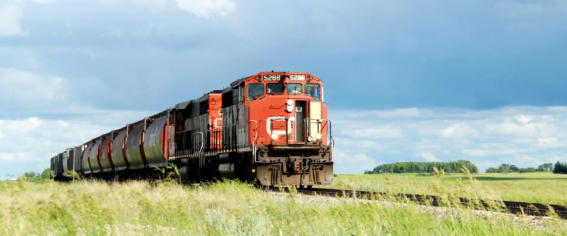 A moving train in the middle of a field