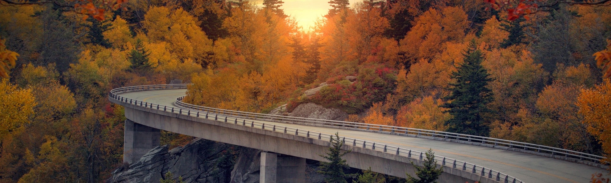 Scenic photo of a highway winding through a curvy, forested area